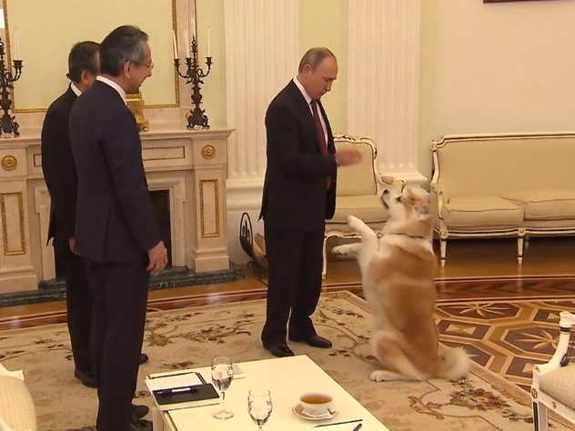 Собака Путина «защитила» хозяина от японских журналистов