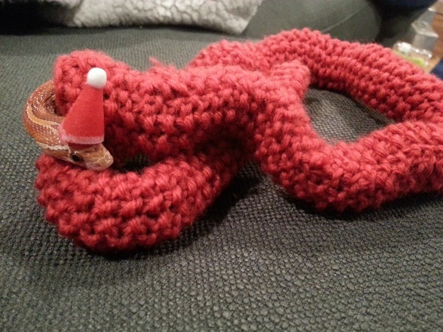 Змея на Рождество получила свитер и праздничный колпак