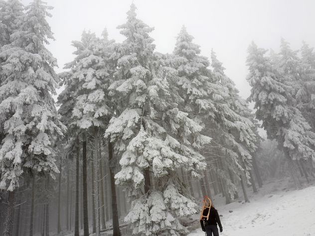Москву ждет самый холодный день до конца января