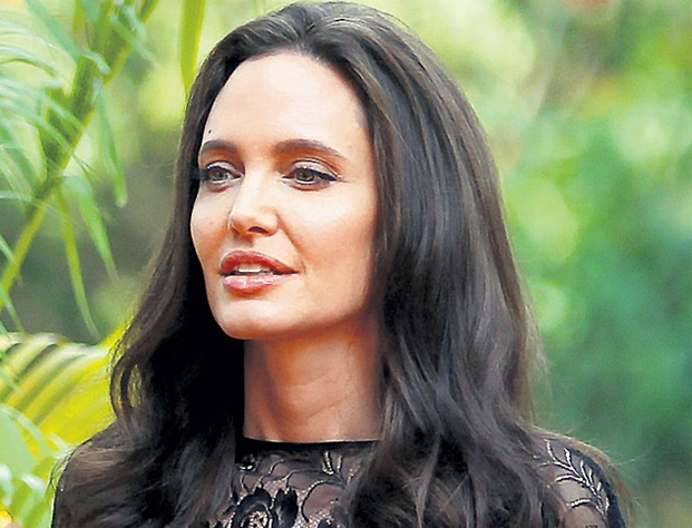Анджелина Джоли задумалась о новом доме