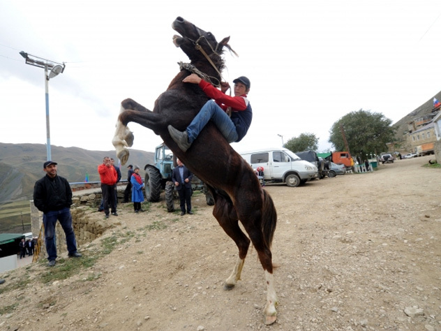 Пьяный россиянин на лошади пытался затоптать полицейских