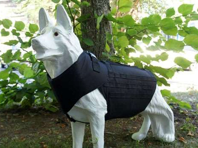 На Украине создали бронежилет для собак