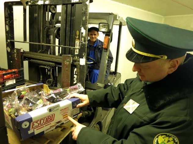 Россиянин замаскировал санкционные овощи под конфеты