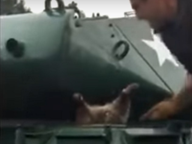 Застрявшего в танке енота спасли военные США