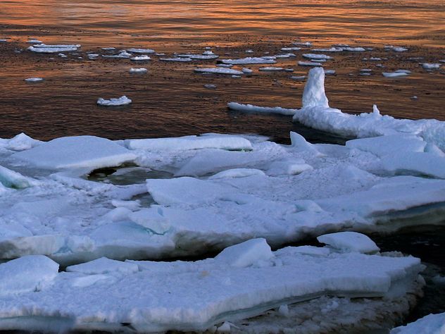 Ученые разгадывают загадку Ледяного Монстра с Аляски