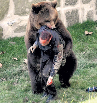 Медведь убил второго за лето человека в красноярском нацпарке 