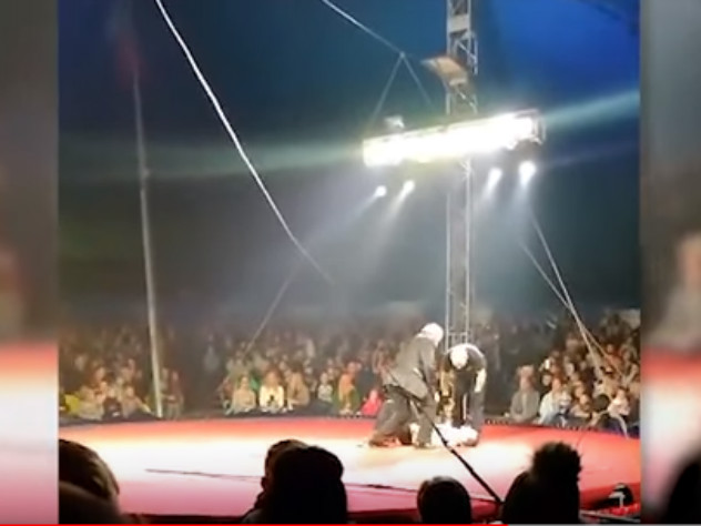 В Братске канатоходец во время трюка рухнул из-под купола цирка
