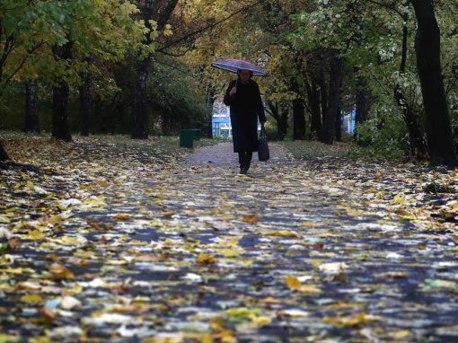 Погода в москве на 3 дня карта