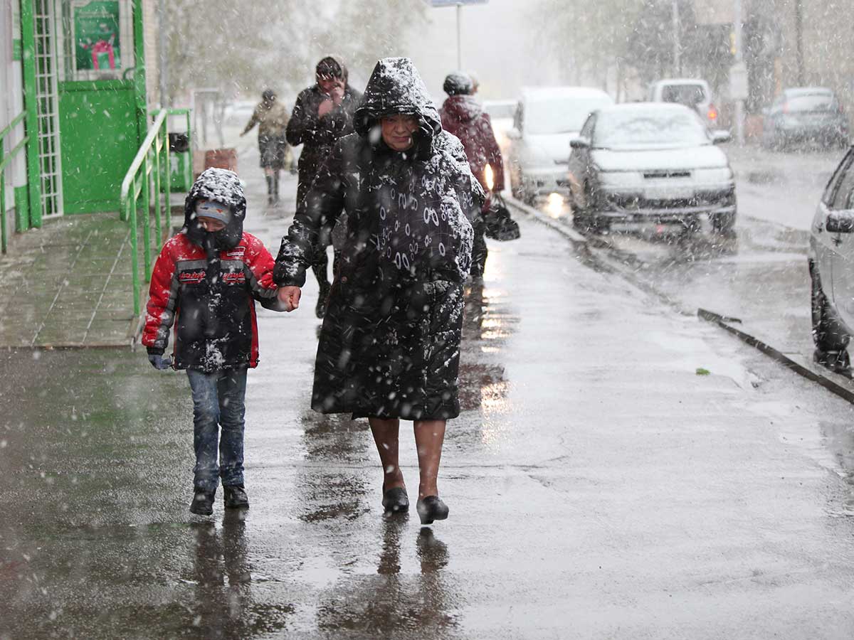 Погода в Выборге в январе 