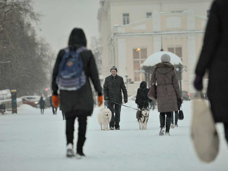 Погода в г великие луки на две недели гисметео карта осадков