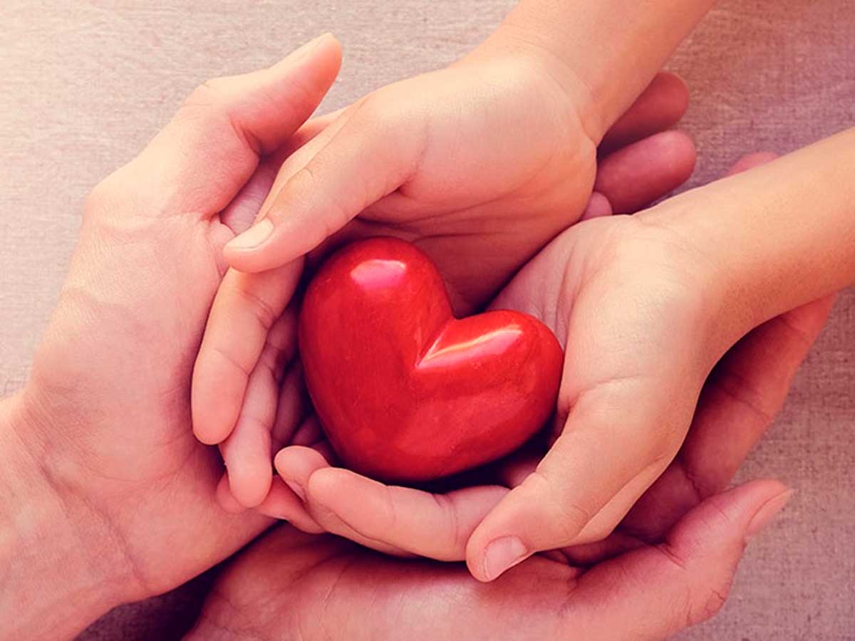 World Organ donation Day