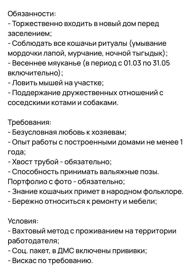 Кис-кис-кис: в Сочи строительная компания ищет в штат кота для новоселий -  Экспресс газета