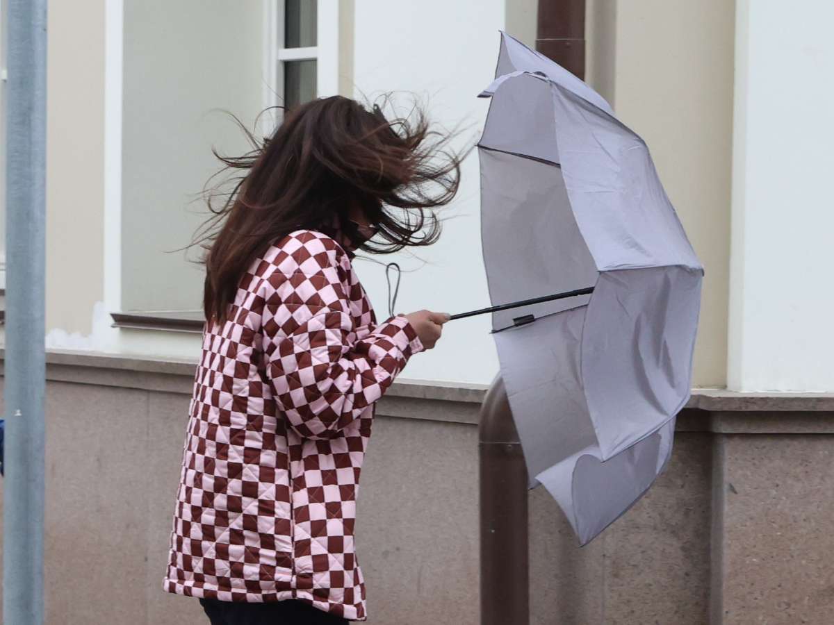 80% месячной нормы осадков за два дня, град, ветер и грозы: Москву и Подмосковье ожидает серьезная непогода