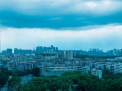 Значительное понижение температуры и дожди: какая погода будет в августе в Москве и Подмосковье