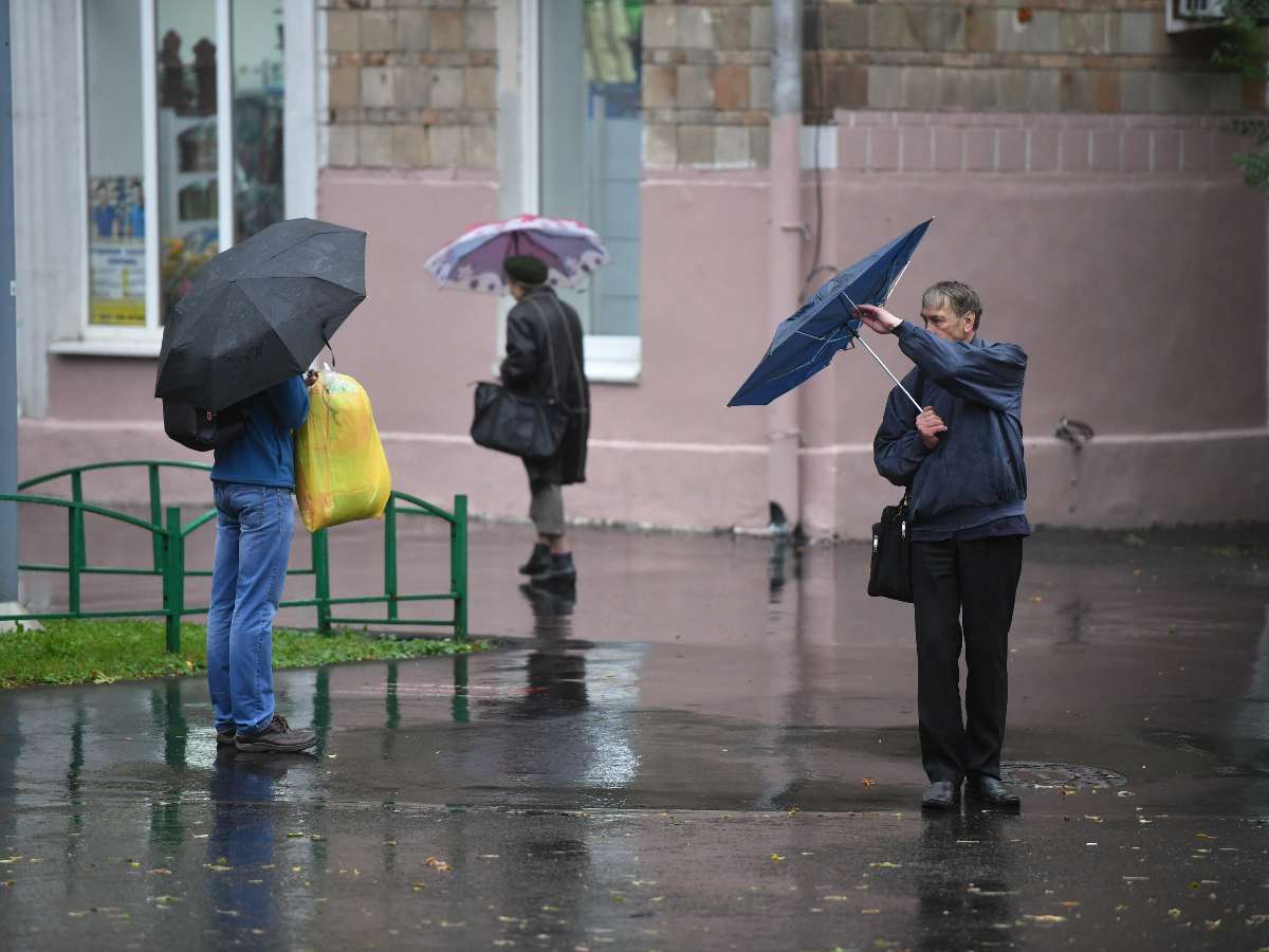 Погода в Москве в четверг 21 ноября испытает всех на прочность: пятибальный шторм, рекордно низкое атмосферное давление, угроза падения деревьев